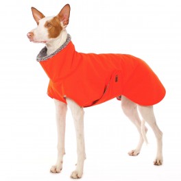 Hugo Neon, vel. S2 orange Hugo Neon, vel. S2 orange