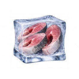 tolstolobik podkovy 1kg / B.A.R.F. Co.