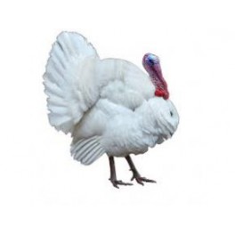 Mletá krůta 1kg Mletá krůta 1kg
